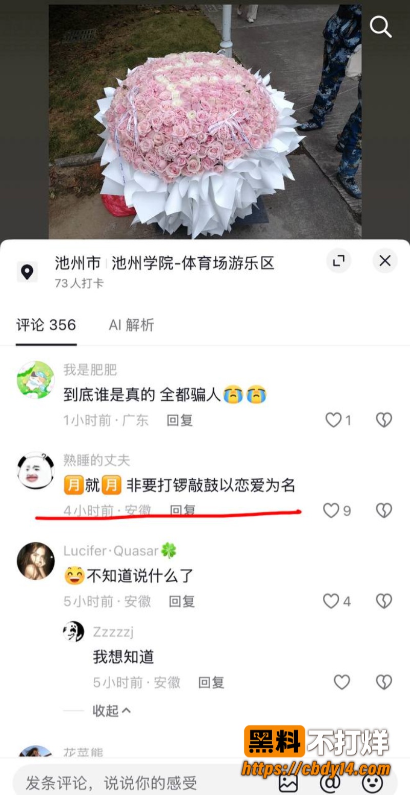 池州学院求爱送999朵花的瓜07