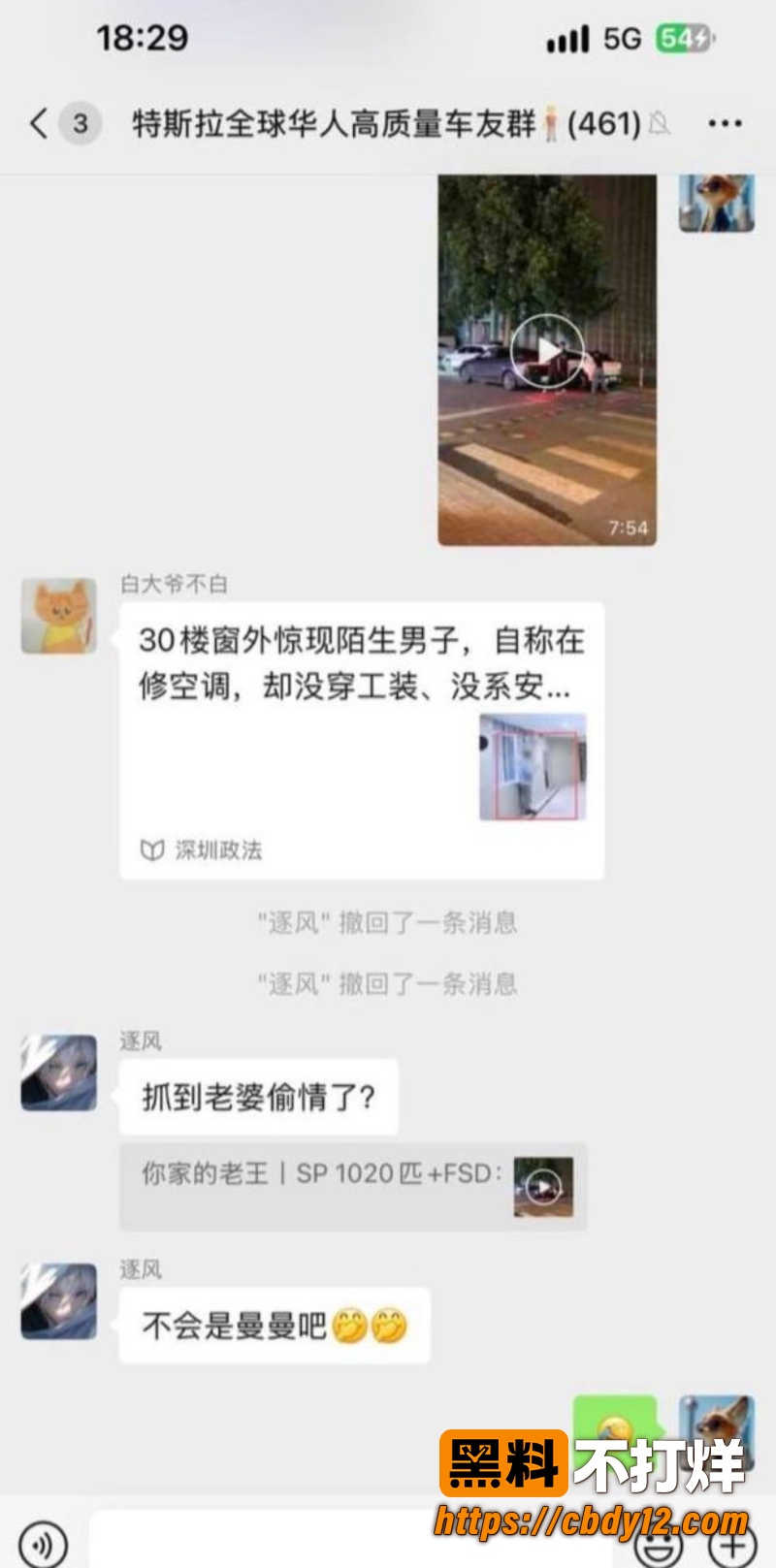 特斯拉车主的妻子 12