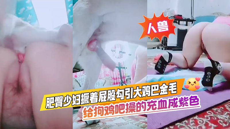 【人兽】肥臀少妇撅着屁股勾引大鸡巴金毛，给狗鸡吧操的充血成紫色 のポスター
