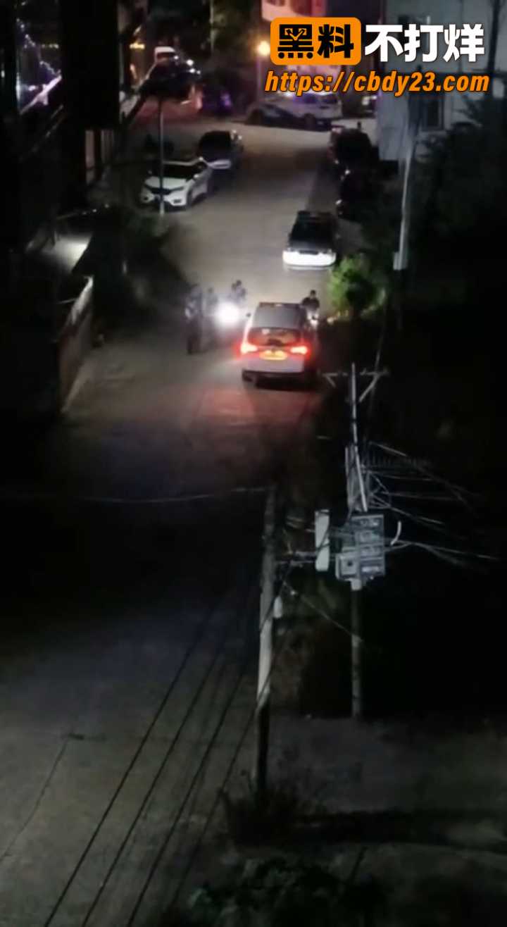 揭阳龙岭村枪杀村霸事件 1