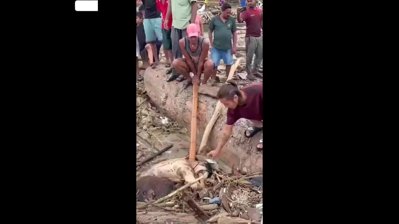 Nepal flood and massive mudslide suddenly attack Tibet Gyirong Port, corpses littering the field at the scene, hundreds of people missing
