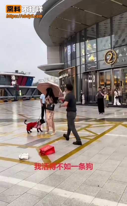 中年男子怒吼7