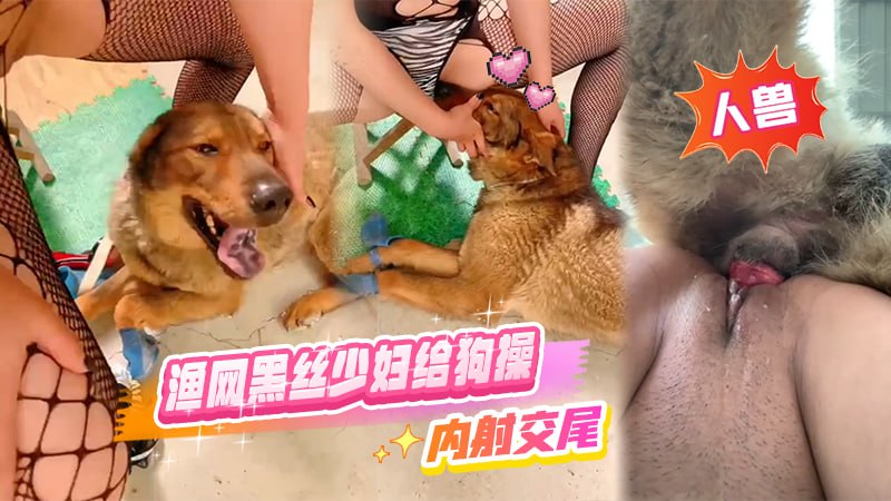 Poster para sa 【人兽】渔网黑丝少妇给狗操，内射交尾