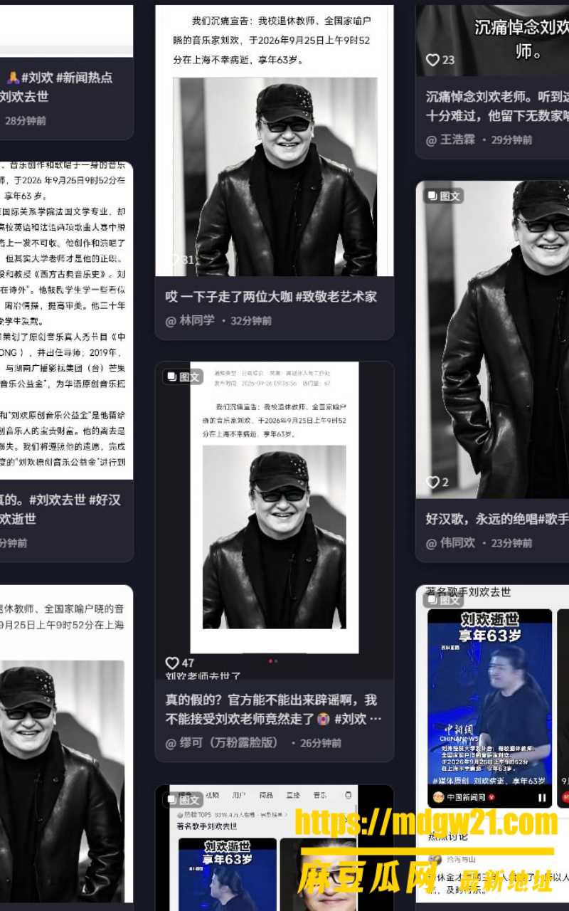 音乐家刘欢8
