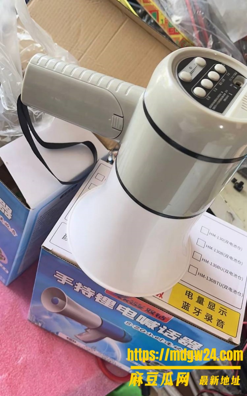 河北迁安睿德学校28