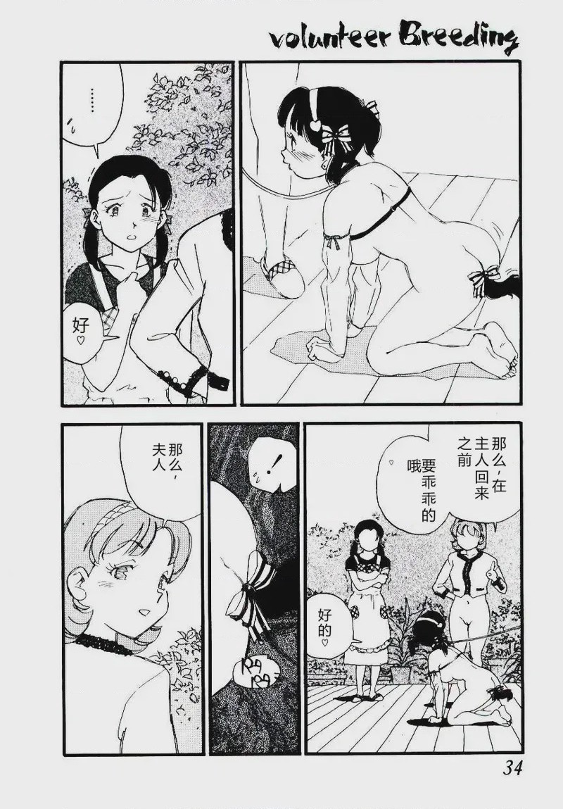 第 1 章，第 33 页