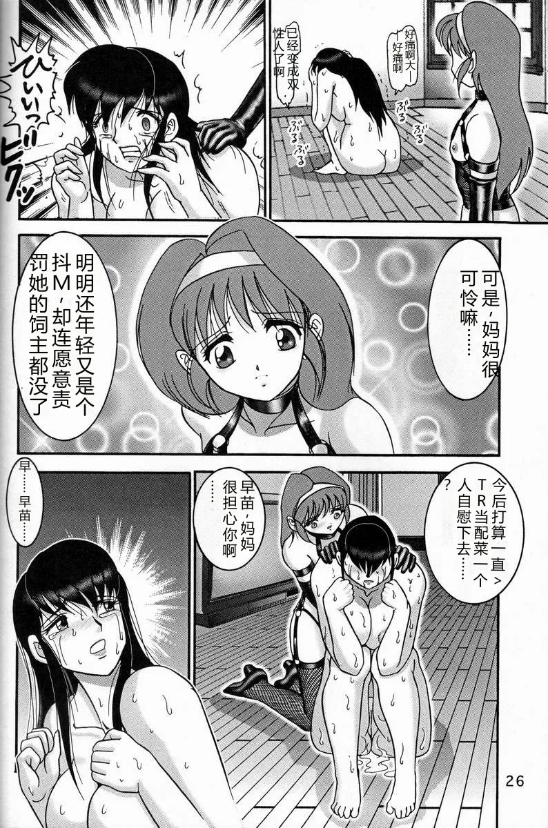 第 1 章、25 ページ