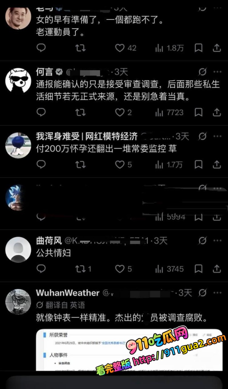 武汉市委秘书长 曾晟 与主持人情妇胡颖 照片10