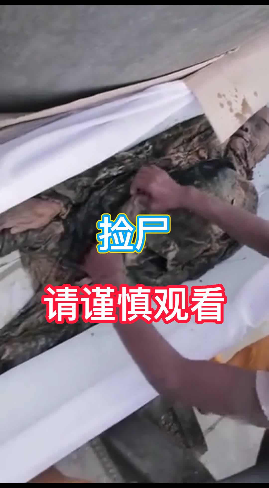 捡尸，请谨慎观看 的封面