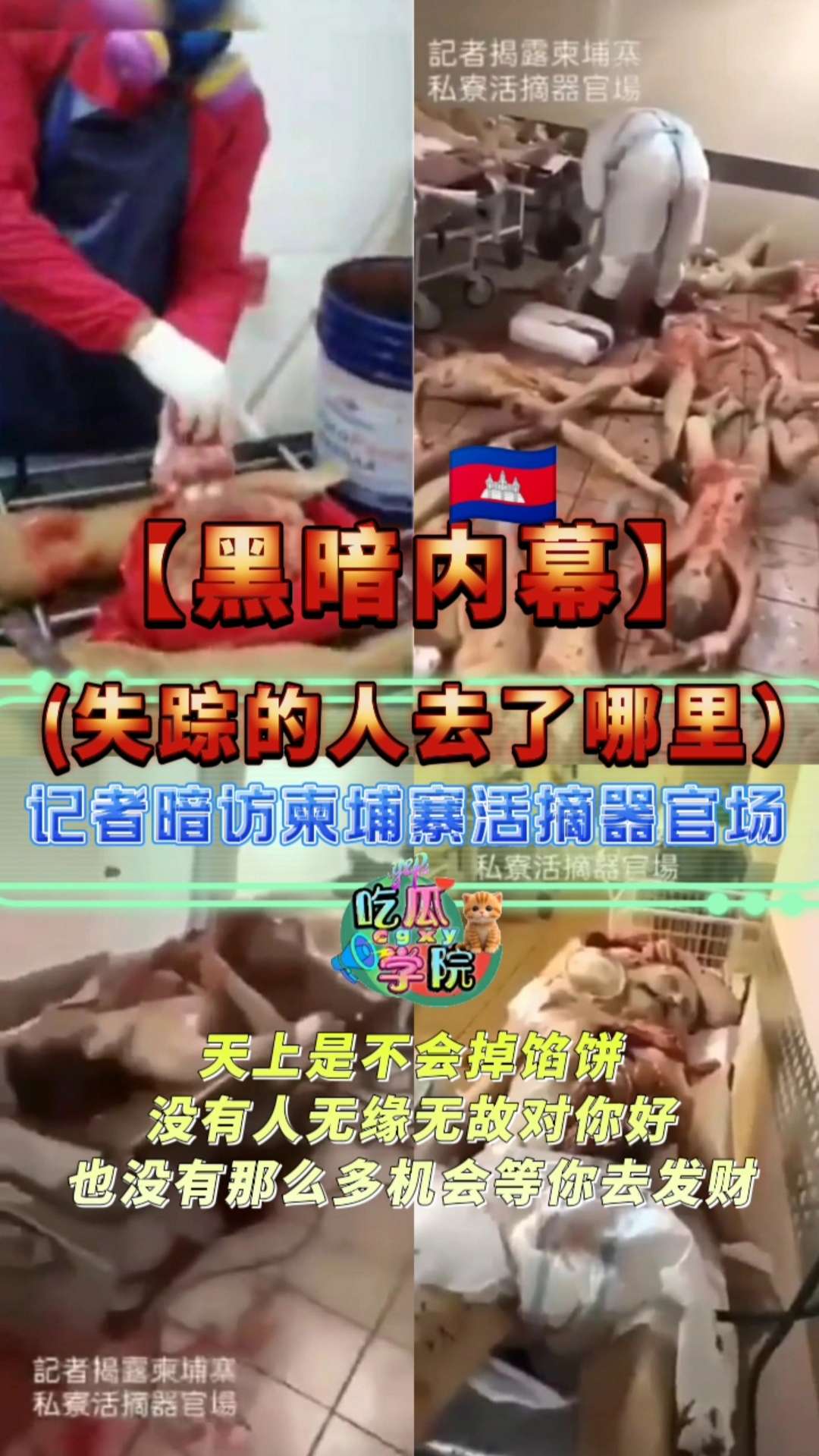 【网暴黑料】失踪的人去了哪里？记者暗访柬埔寨摘活人器官场 포스터