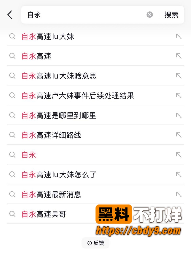 自永高速 Lu大妹