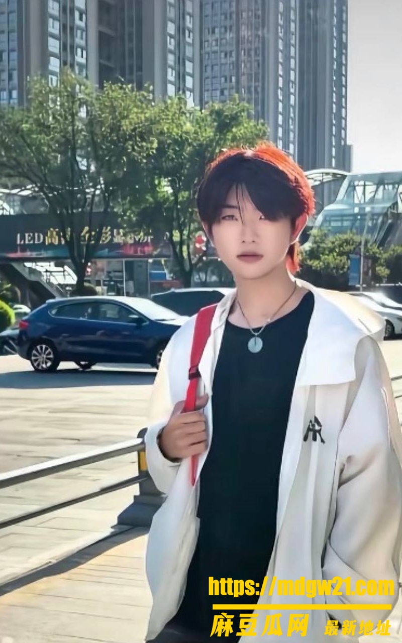 陕西军恋女主 Xin24