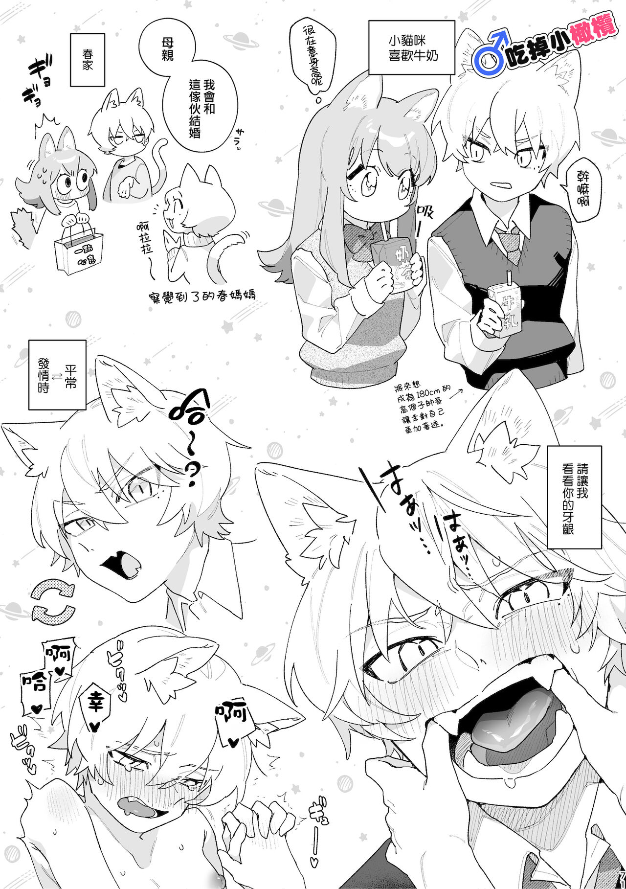 第 1 章、71 ページ