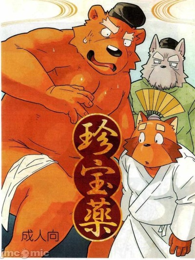 珍宝药 的封面
