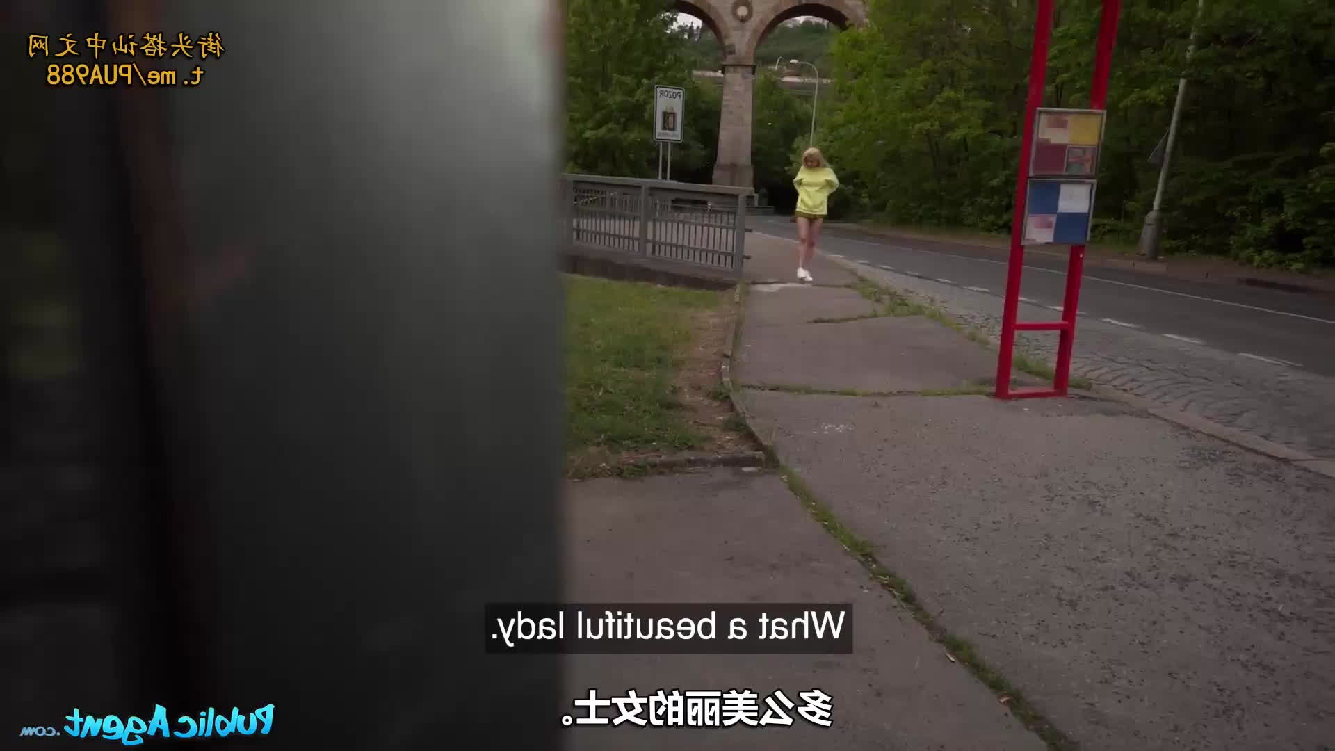 捷克街头搭讪系列最新合集 持续更新中 已更新1集
