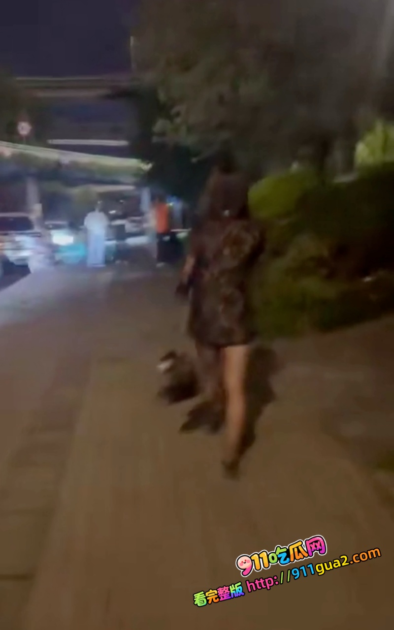 成都又上大分，一个男的男扮女装来做小姐，被大哥识破，求大哥心理阴影面积 4