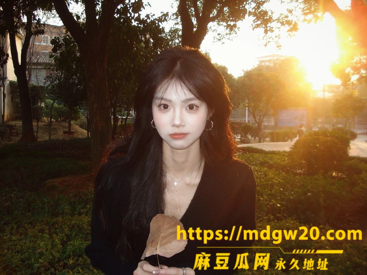 photo_1_2026-08-23_10-55-51
