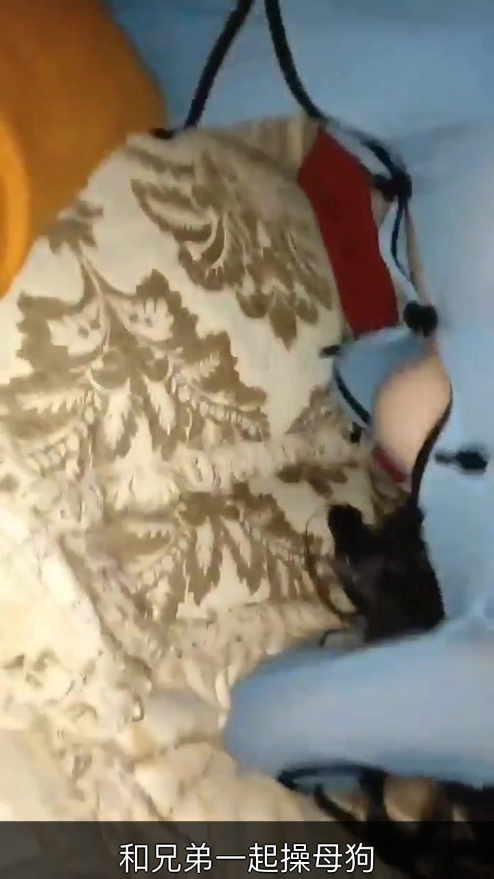 和兄弟一起操母狗