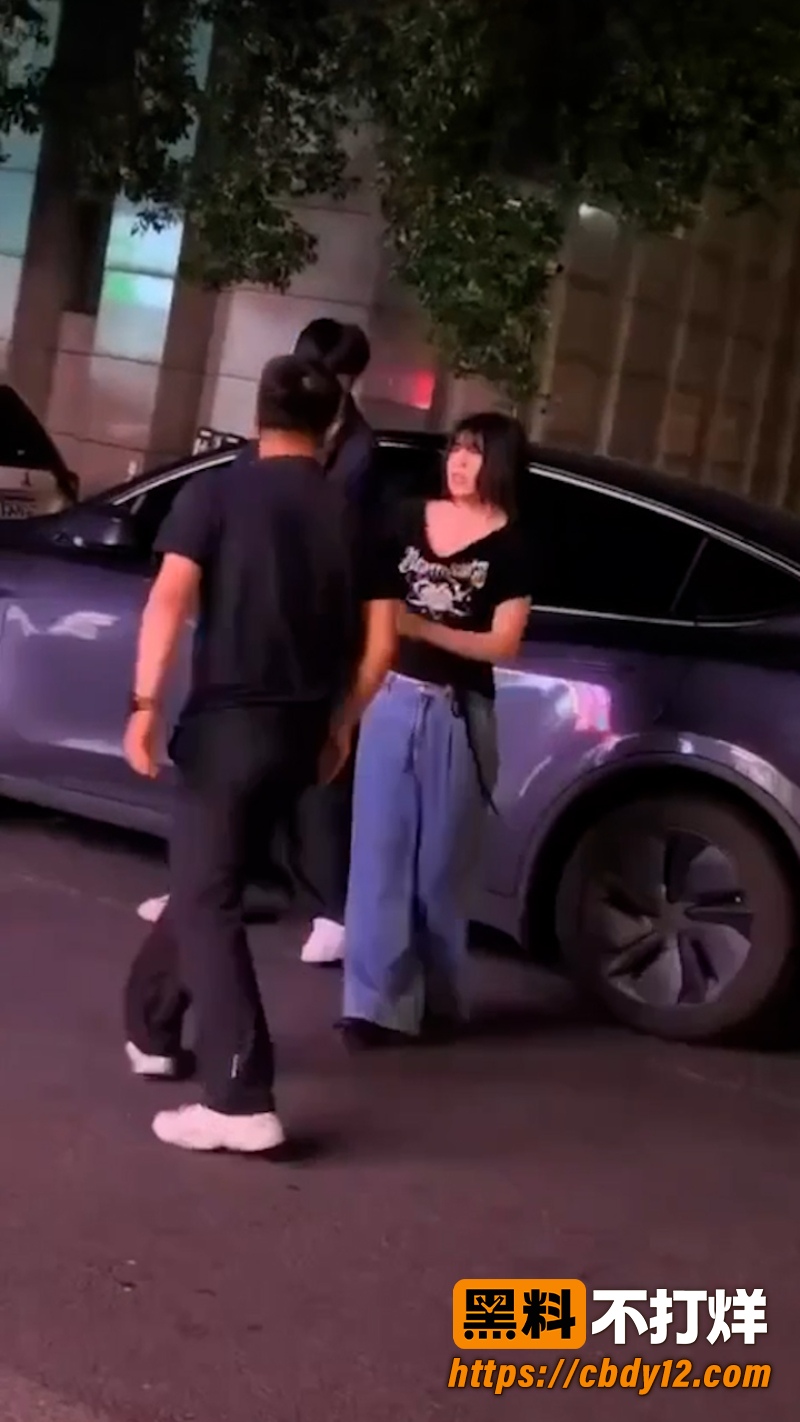 特斯拉车主的妻子 6