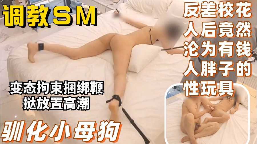 โปสเตอร์สำหรับ 调教抖M小母狗反差校花人后竟然沦为有钱人胖子的性欲玩具