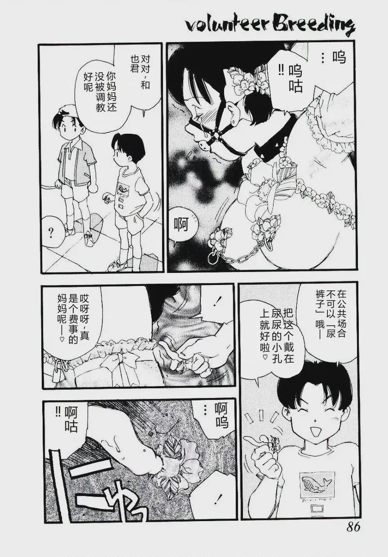 第 1 章, page 85