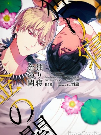 Poster for 金闺独梦 [中国翻訳]