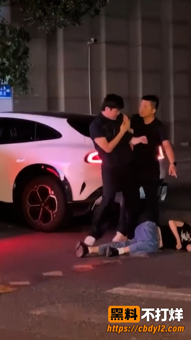 特斯拉车主的妻子 3