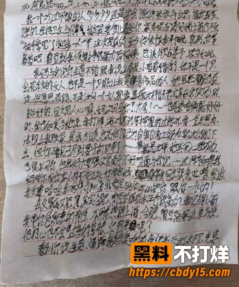 安徽网红L吹气球 23