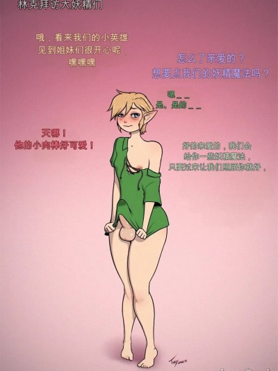 [闲的没事干AI翻译][Toby Art ]Link Visits the Great Fairies 的封面