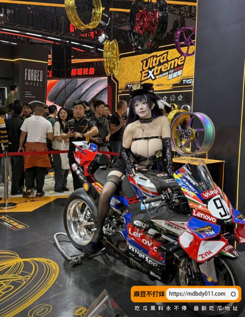 喵喵球4
