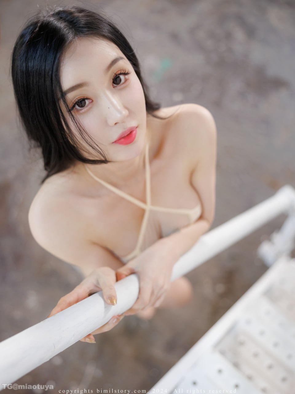 编号:243 포스터