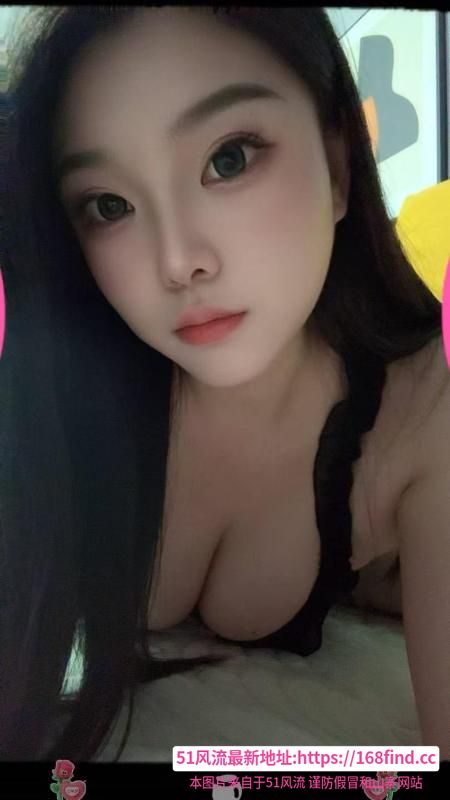 二刷雁塔名师金宝宝