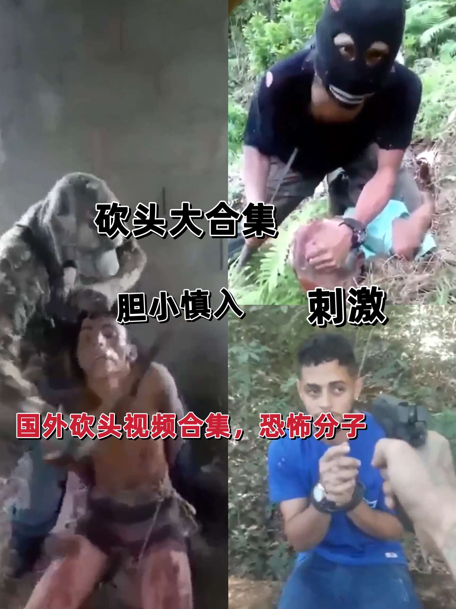 โปสเตอร์สำหรับ 歪国砍头合集，胆小慎入