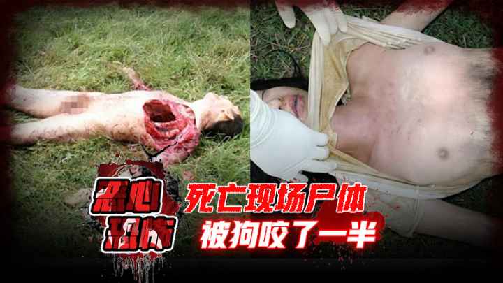 【恶心恐怖】死亡现场，尸体都被狗咬了一半 的封面