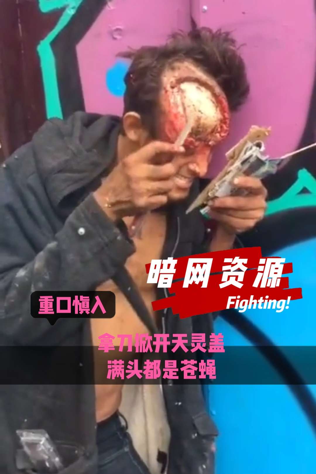〔暗网资源〕拿刀掀开天灵盖，满头都是苍蝇 的封面