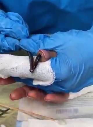 好么看的我又疼又痒 的封面