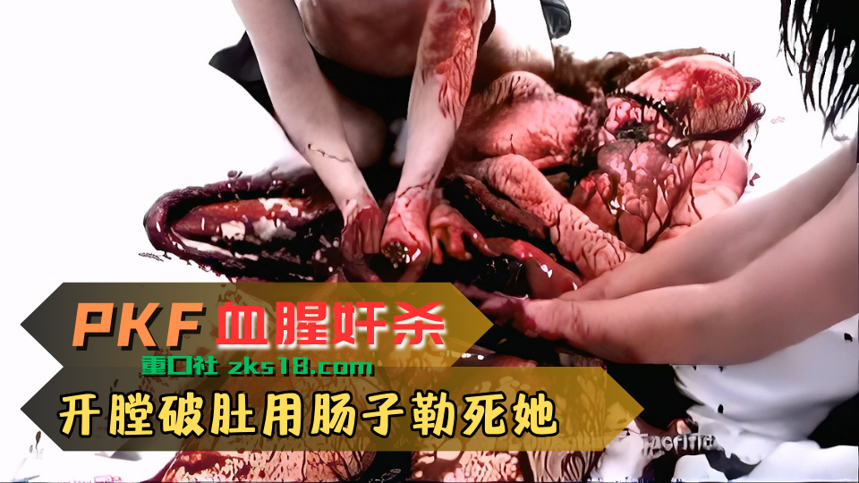โปสเตอร์สำหรับ 开膛破肚用肠子勒死她