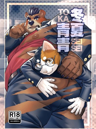 Poster for 冬夏青青