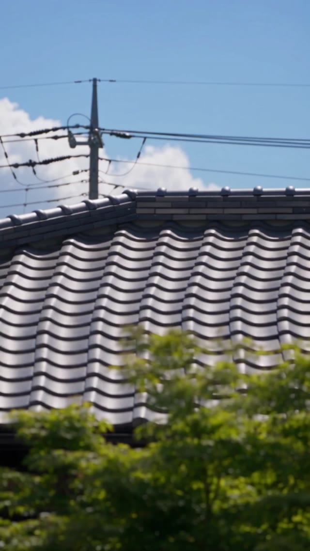 AI成人短剧 秘密教学新版 第3集 少年初尝禁忌滋味在窥视长辈欢愉中觉醒