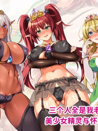 [ロシアン猫] 3人全員俺の嫁!? 美少女エルフと孕ませハーレム! [中国翻訳] [機翻] のポスター