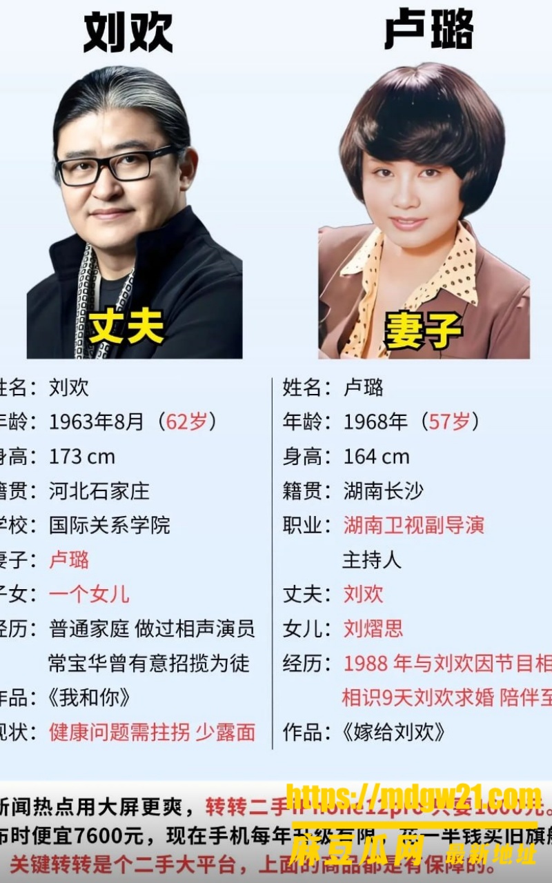 音乐家刘欢21