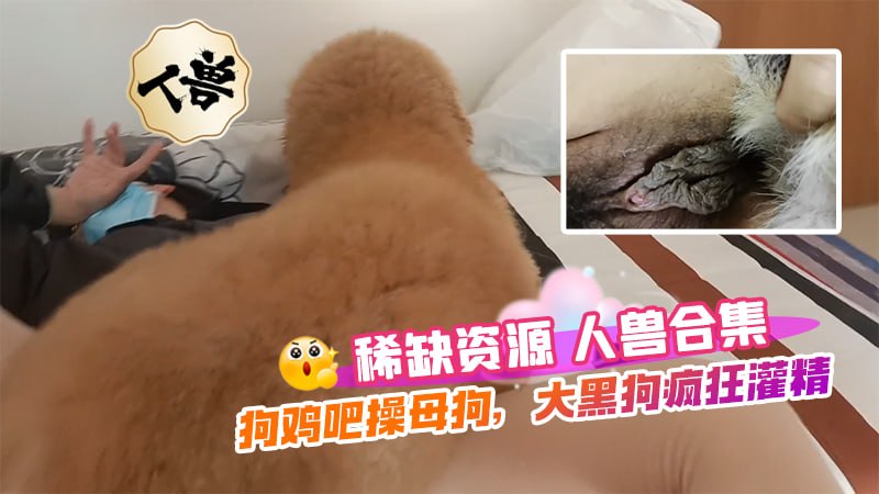 โปสเตอร์สำหรับ 【人兽】稀缺资源人兽合集，狗操人，狗鸡吧操母狗，大黑狗疯狂灌精
