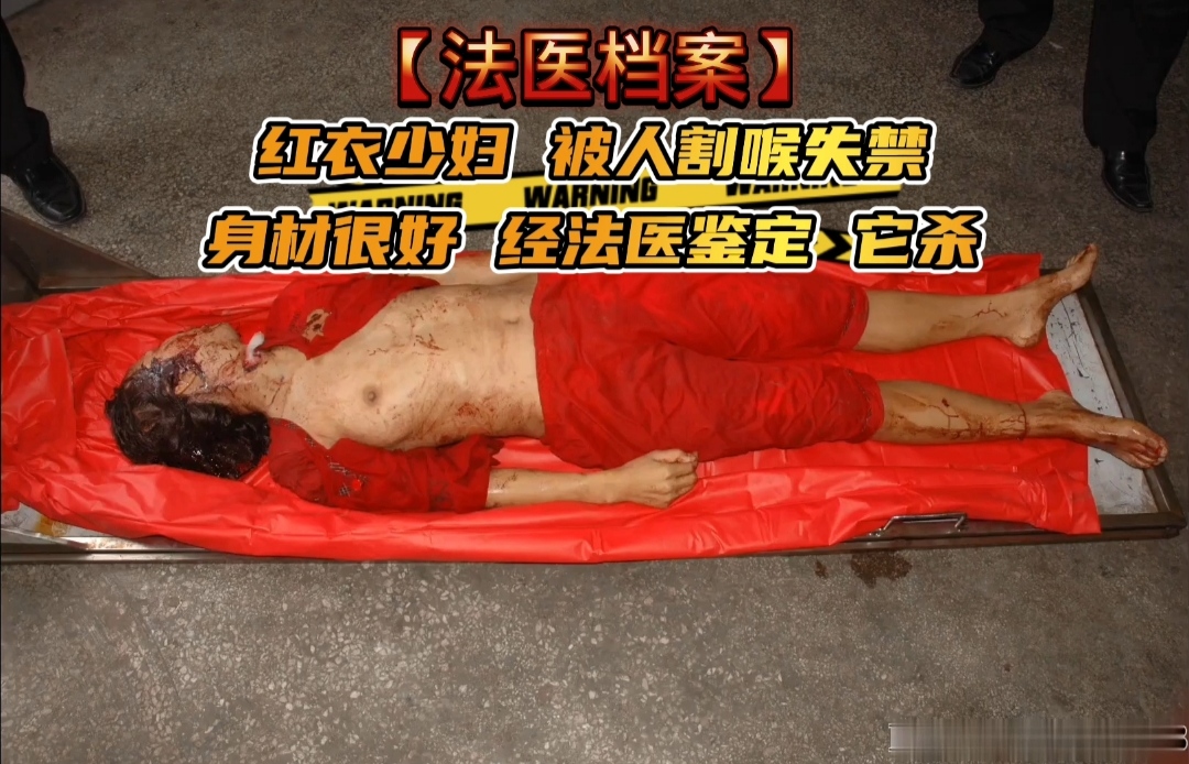 Poster for 【法医档案】红衣少妇被人割喉失禁，身材很好经法医鉴定～它杀