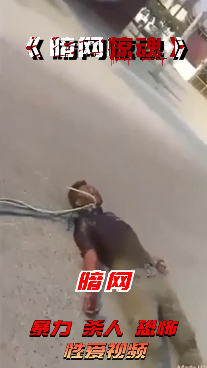 暗网 的封面