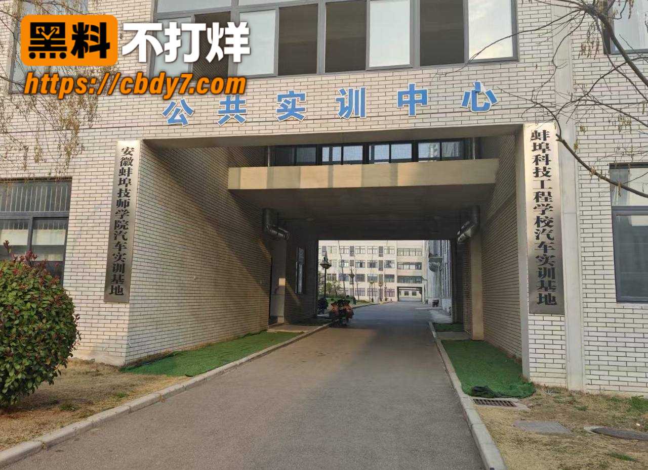 安徽蚌埠职教园情侣不雅视频流出2