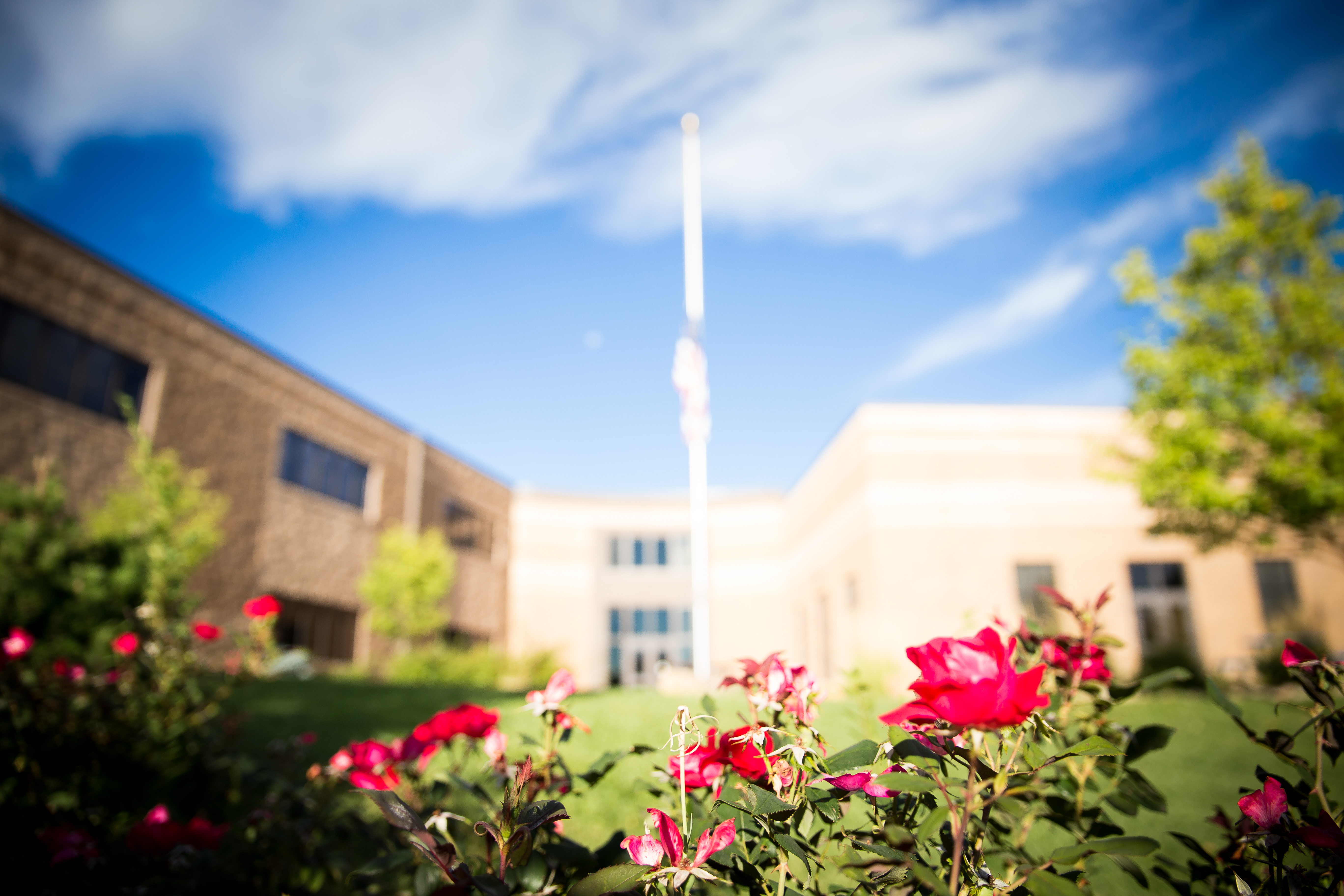 What To Look For In A Great School