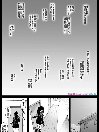 [流砂xChineseHerbalTea汉化][アヘ丸] 後遺症の姉妹 포스터