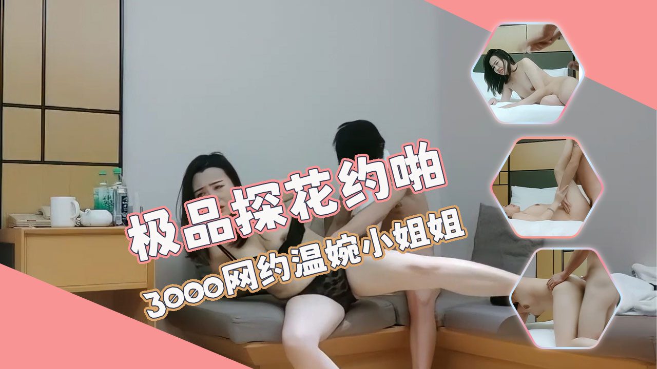 极品探花约啪 3000网约温婉小姐姐 的封面