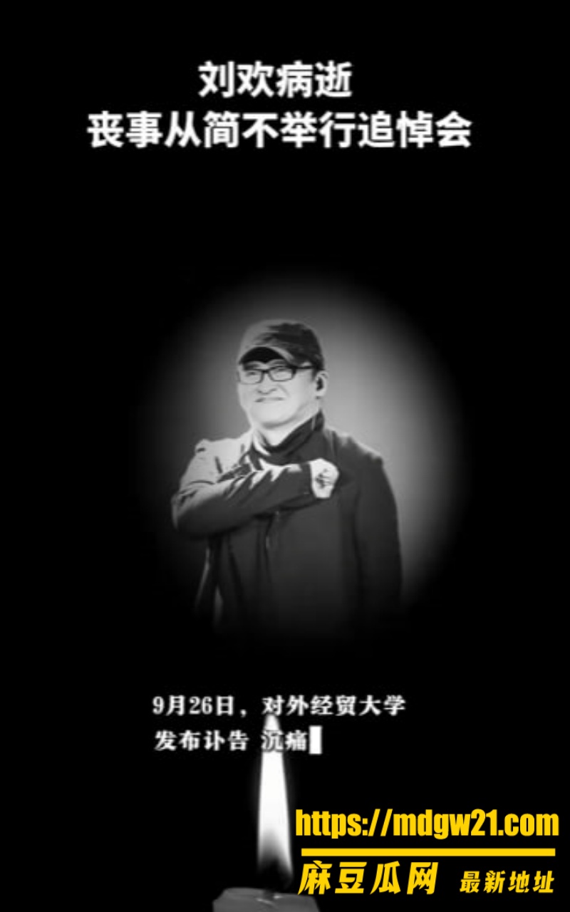 音乐家刘欢4