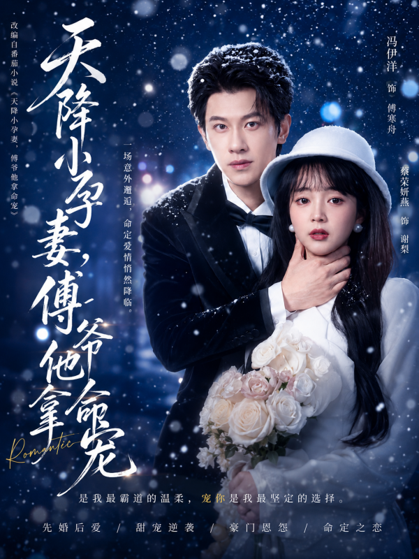 天降小孕妻 的封面